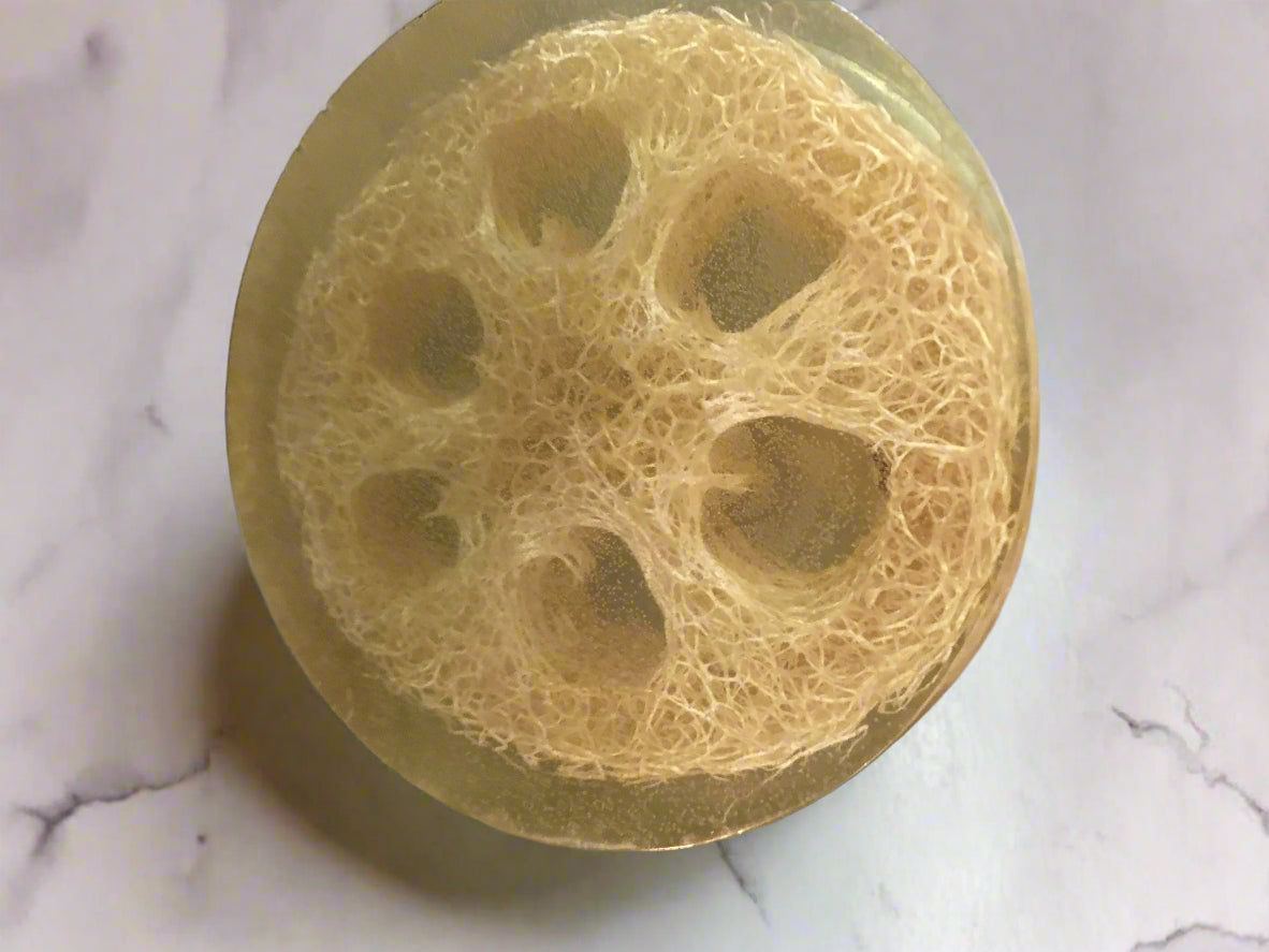 Exfoliating Olive & Aloe Loofah Soap