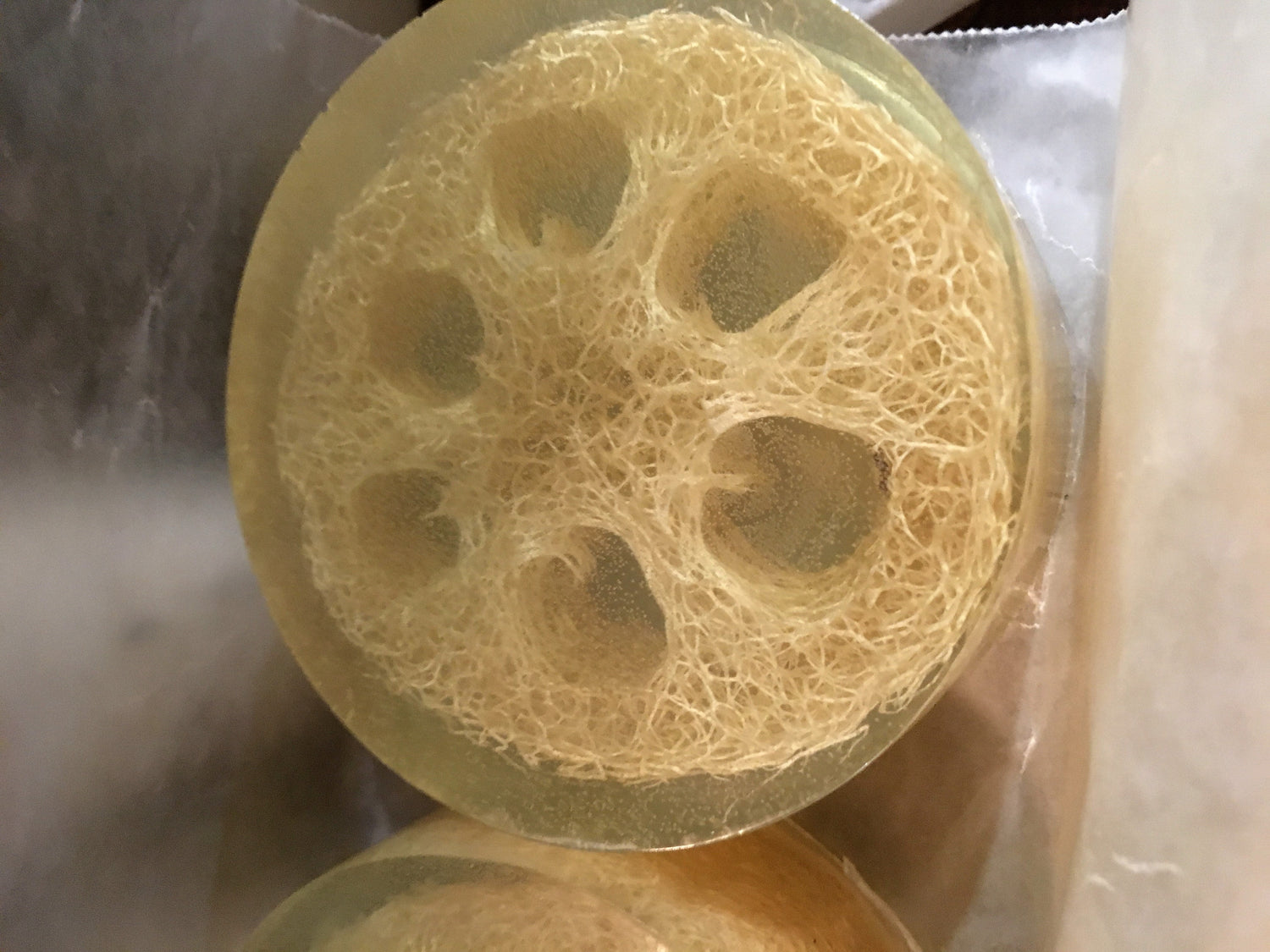 Loofah